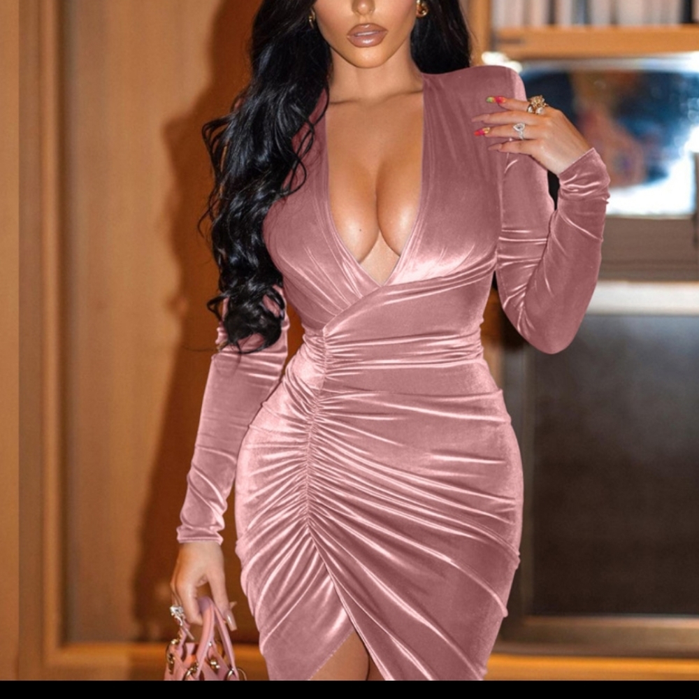 Rose Pleated V Neck Mini Bodycon Dress NWT